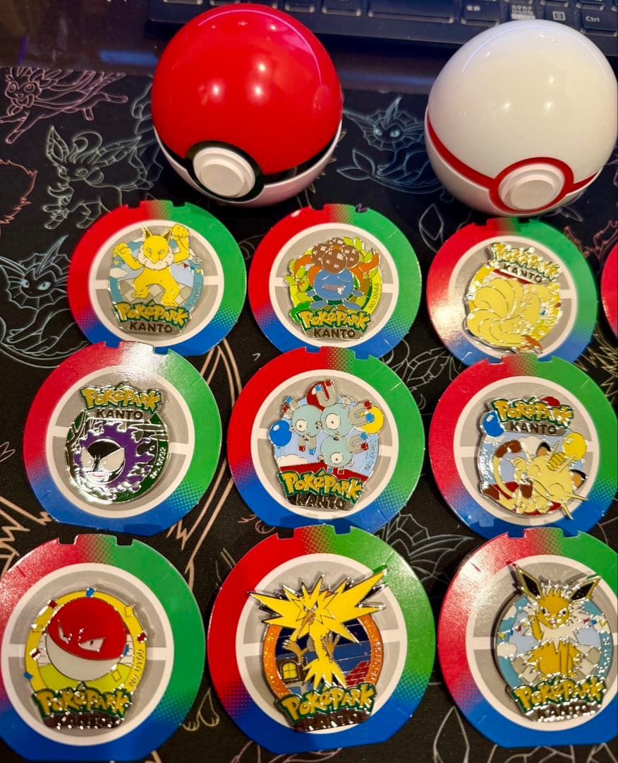 ポケモン ピンバッジ 全14個セット ポケパーク カントー サンダー ライチュウ