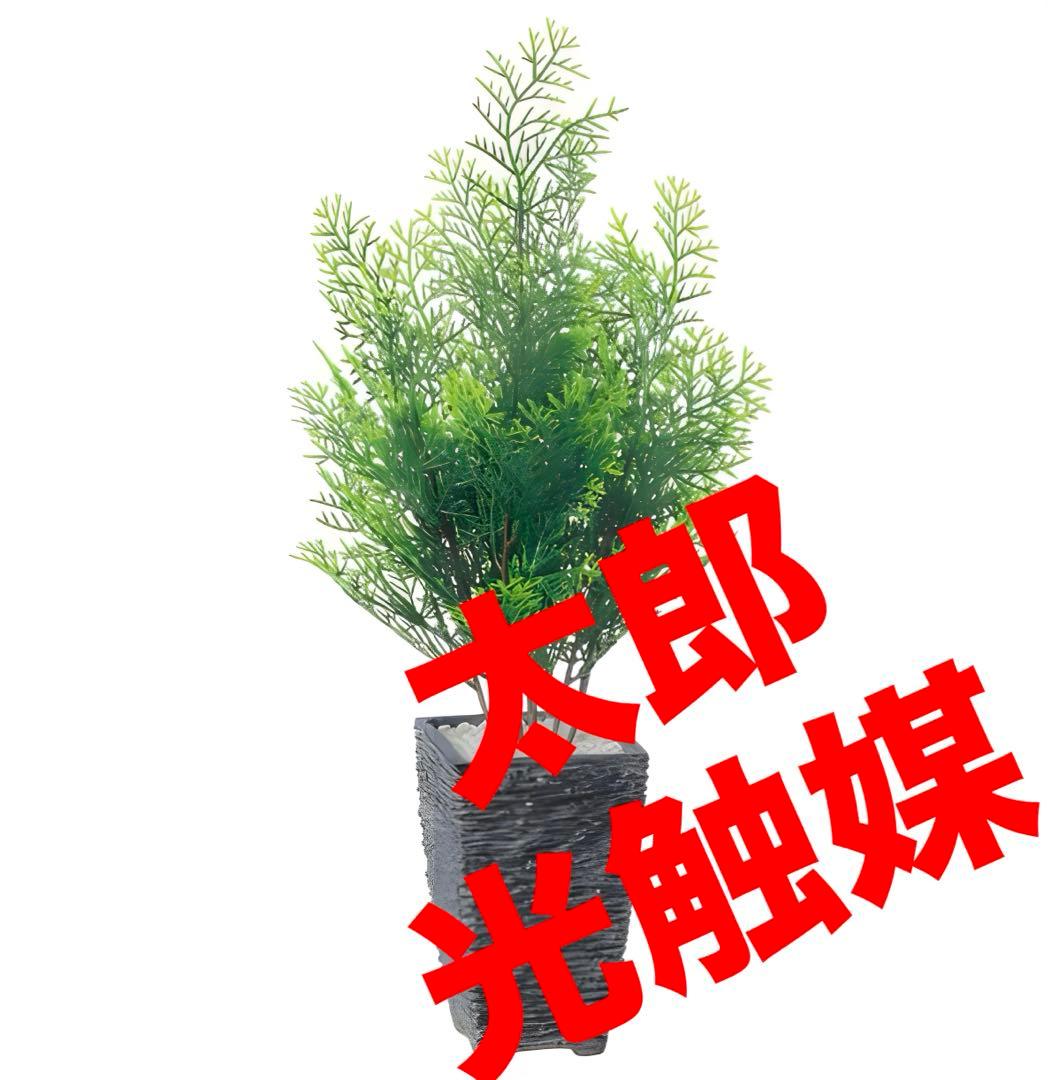 光触媒　人工観葉植物　ウォールグリーン　フェイクグリーン　ヒバ45