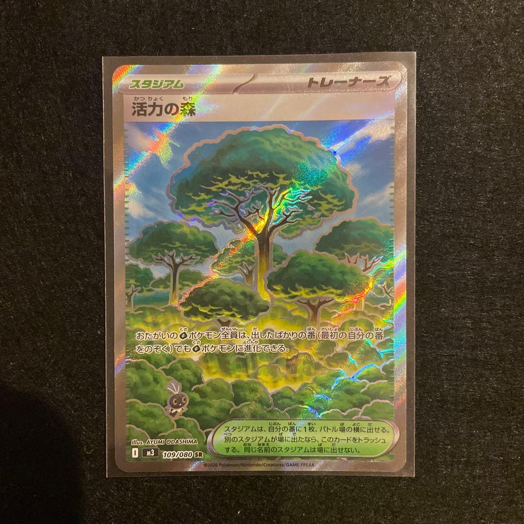 グッズ　スタジアム　ポケモンのどうぐ　SR まとめ売り　ポケパッドなど　匿名配送