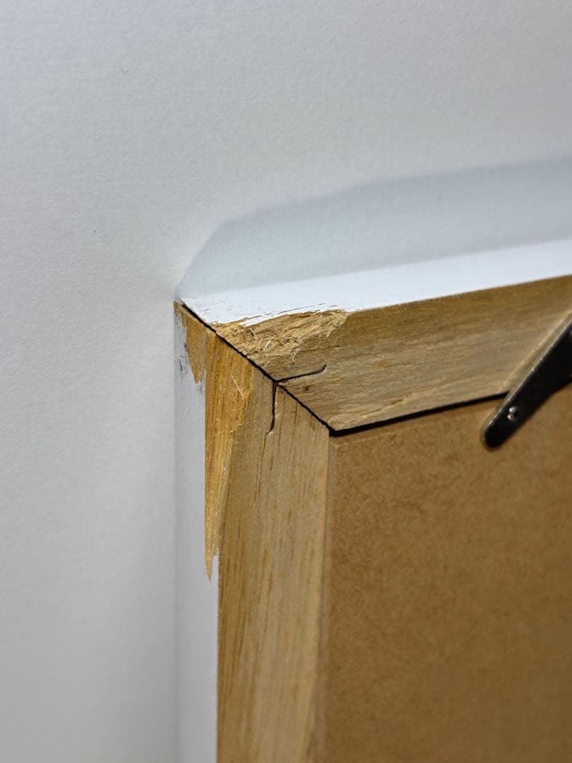 #藤城清治「こびとの楽園」レフグラフ作品 本人サイン入り