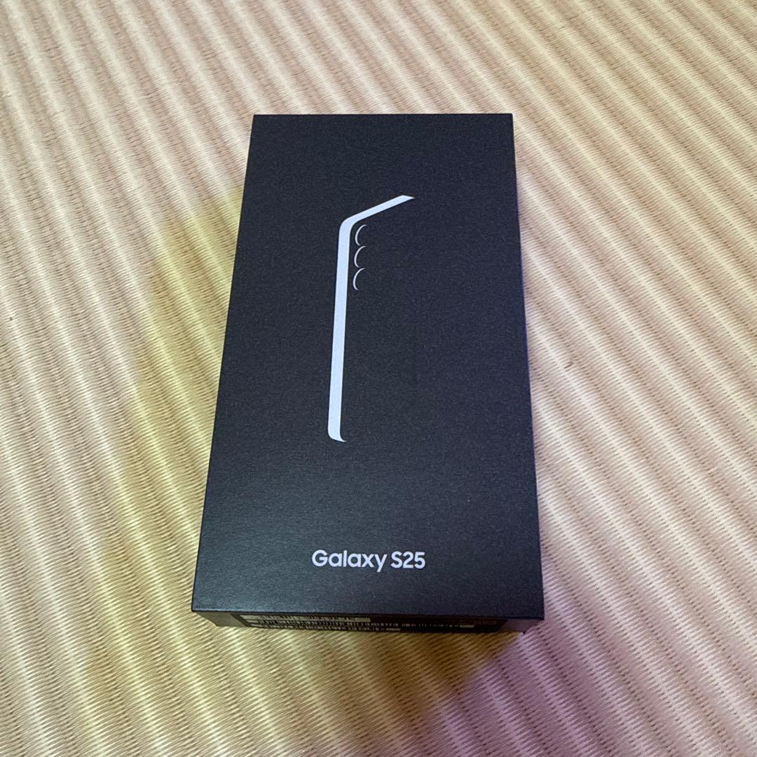 Samsung Galaxy S25 シルバーシャドー 本体