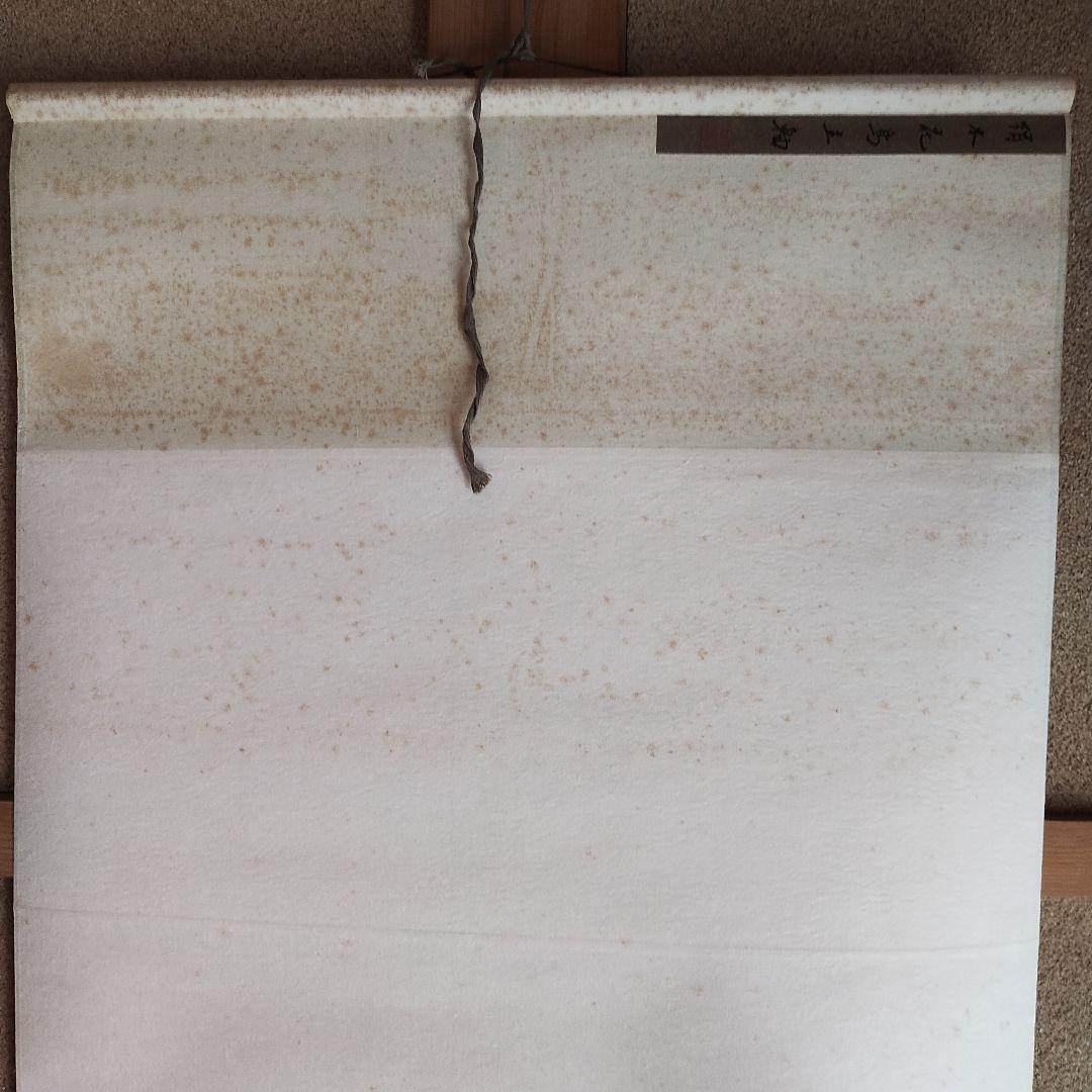 絹本花鳥大主軸 牡丹と蝶の掛軸 天乗引蝶 石舟心 作 春 牡丹開運 縁起 吉祥