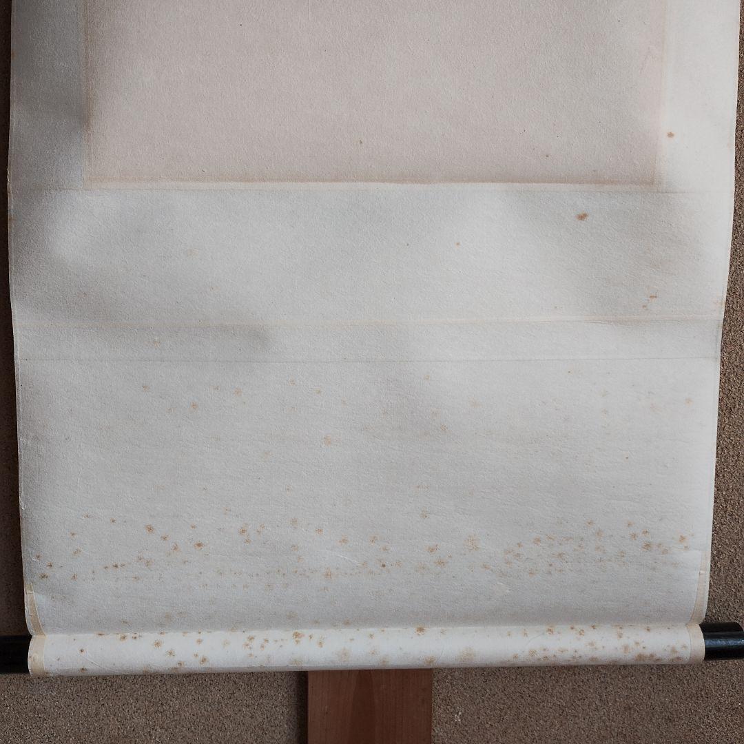 絹本花鳥大主軸 牡丹と蝶の掛軸 天乗引蝶 石舟心 作 春 牡丹開運 縁起 吉祥