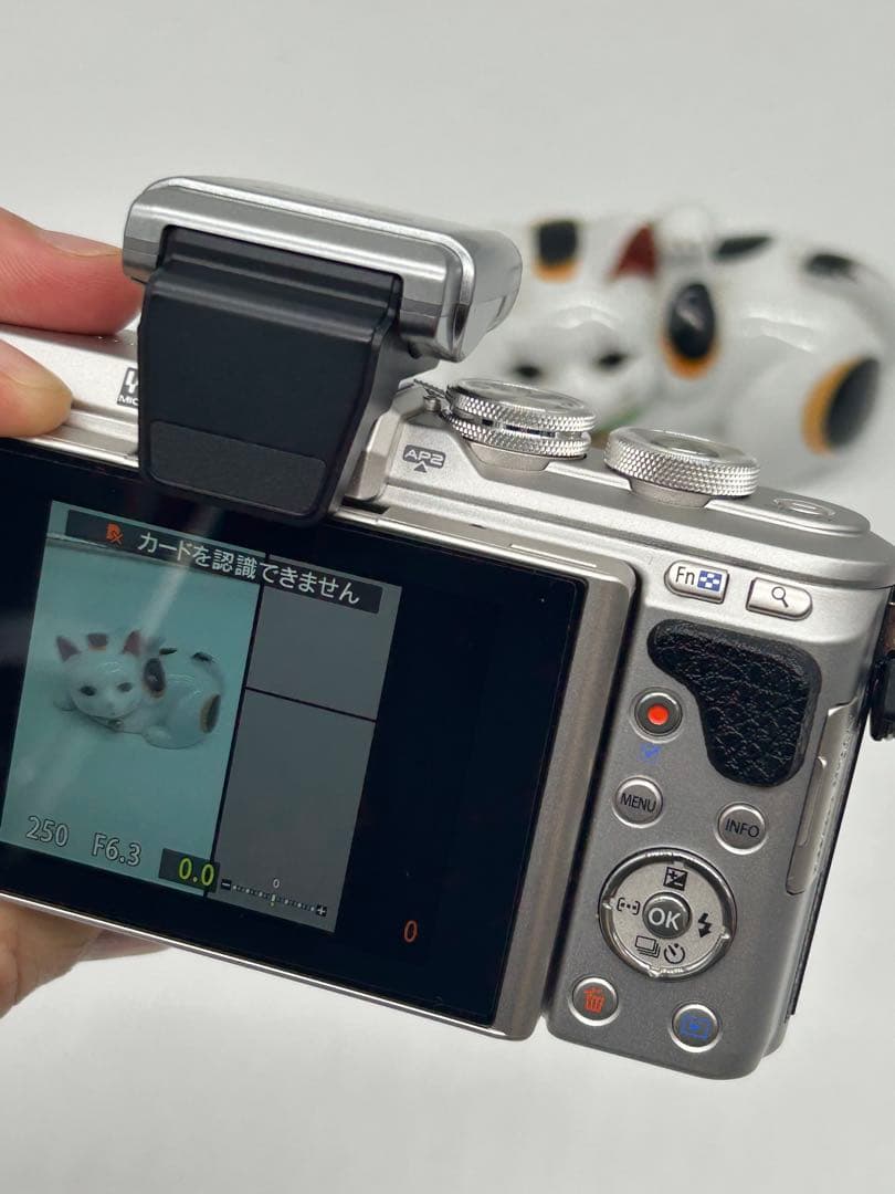 【シャッター132回】OLYMPUS PEN E-PL8 レンズキット#137