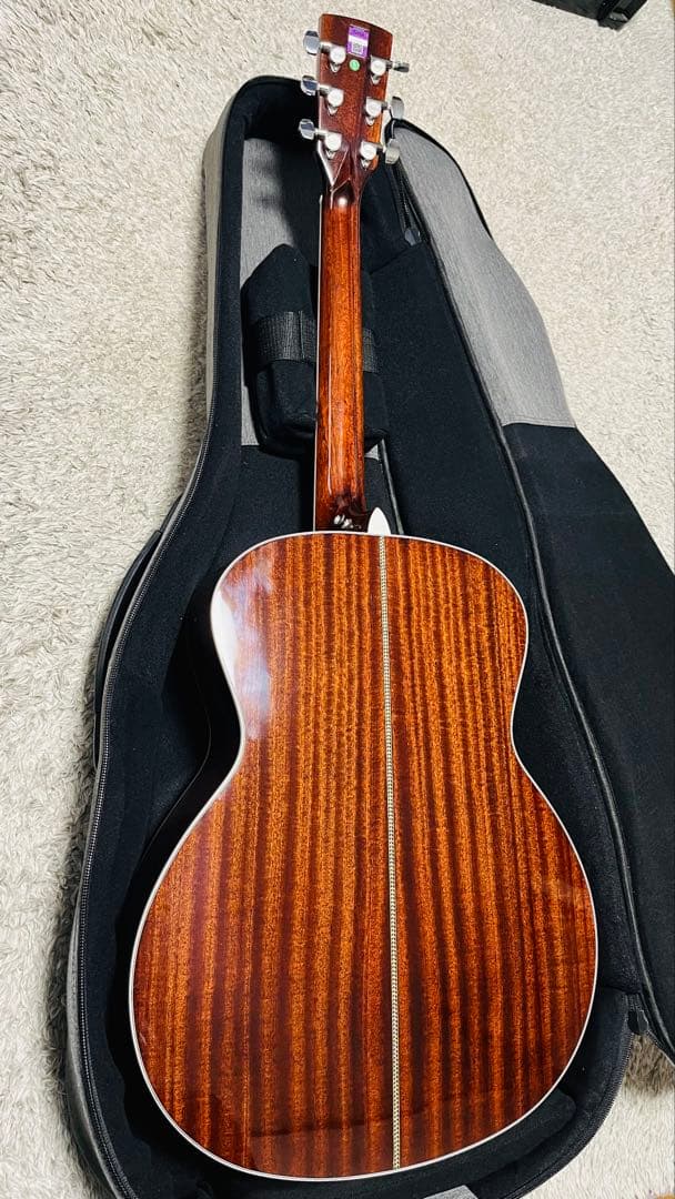 Saga A1 G オール単板　アコースティックギター