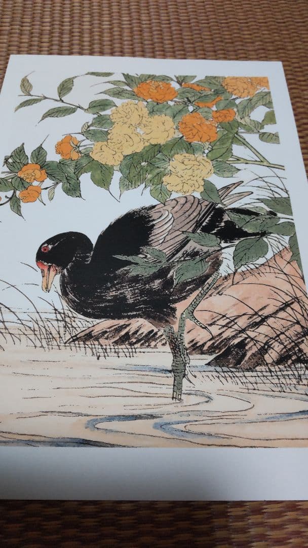 江戸屋の飾り絵　今尾景年の花鳥図の特別セット　8枚組