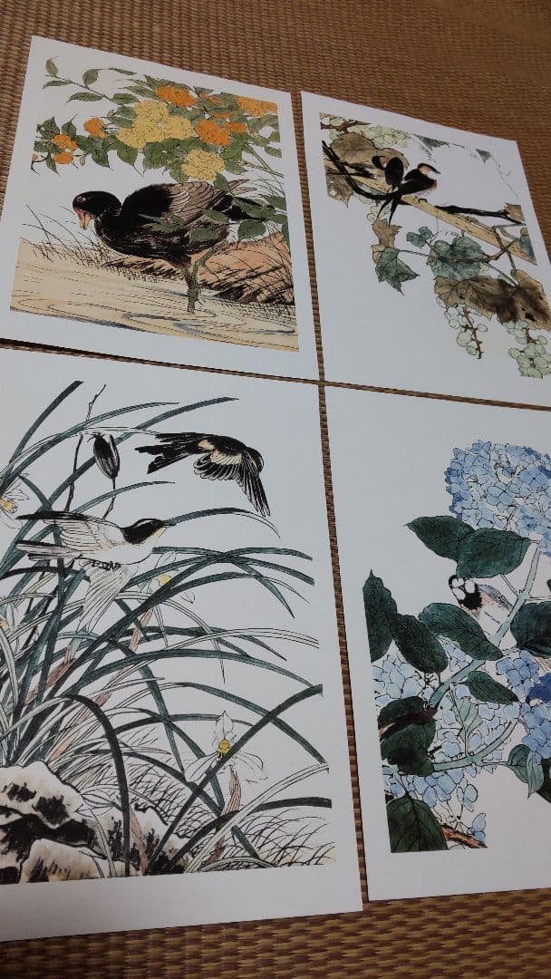 江戸屋の飾り絵　今尾景年の花鳥図の特別セット　8枚組