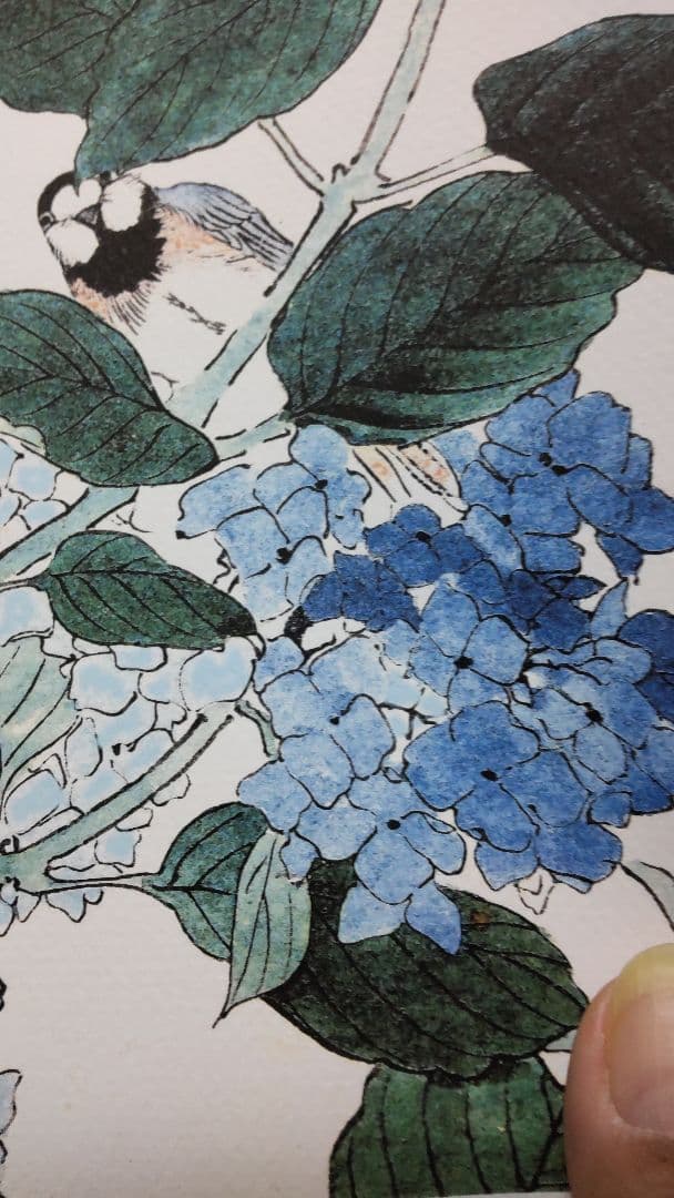 江戸屋の飾り絵　今尾景年の花鳥図の特別セット　8枚組