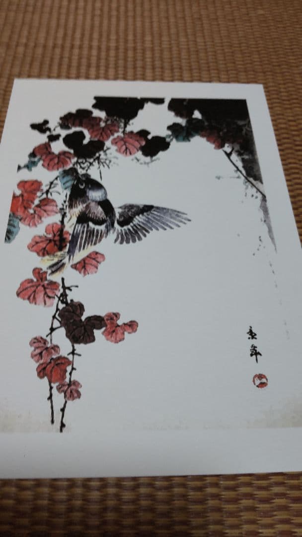 江戸屋の飾り絵　今尾景年の花鳥図の特別セット　8枚組