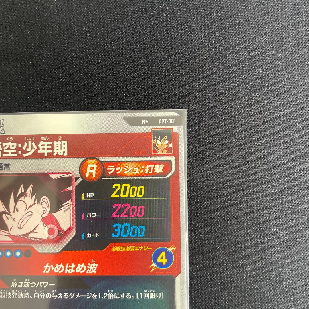 孫悟空　少年期　APT-001 パラレル