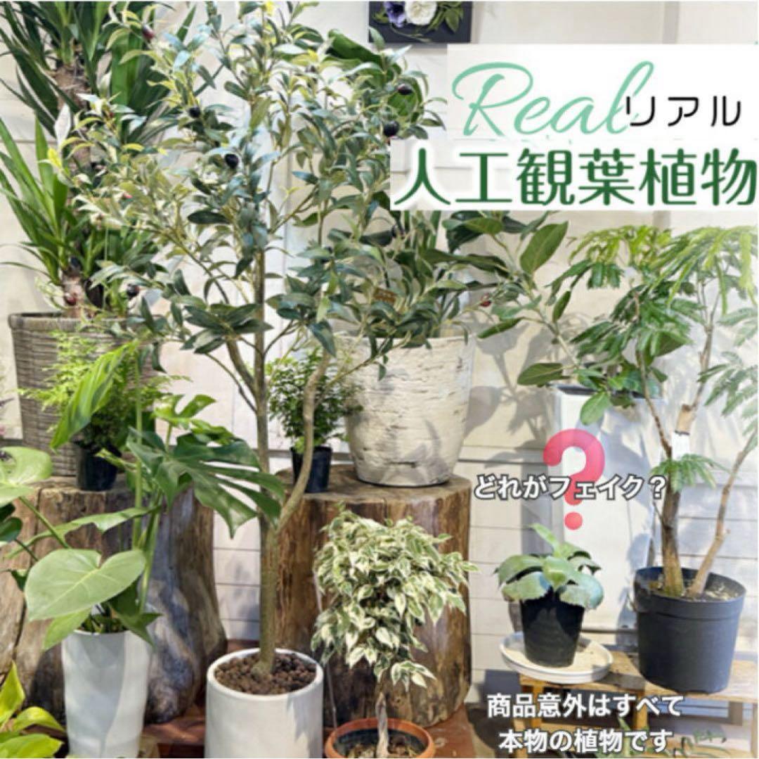 フェイクグリーン オリーブ オリーブの木 観葉植物 大型 120cm