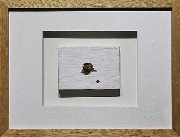 笠井正博【ブナの実】 2004年 原画 アクリル ミニアチュール