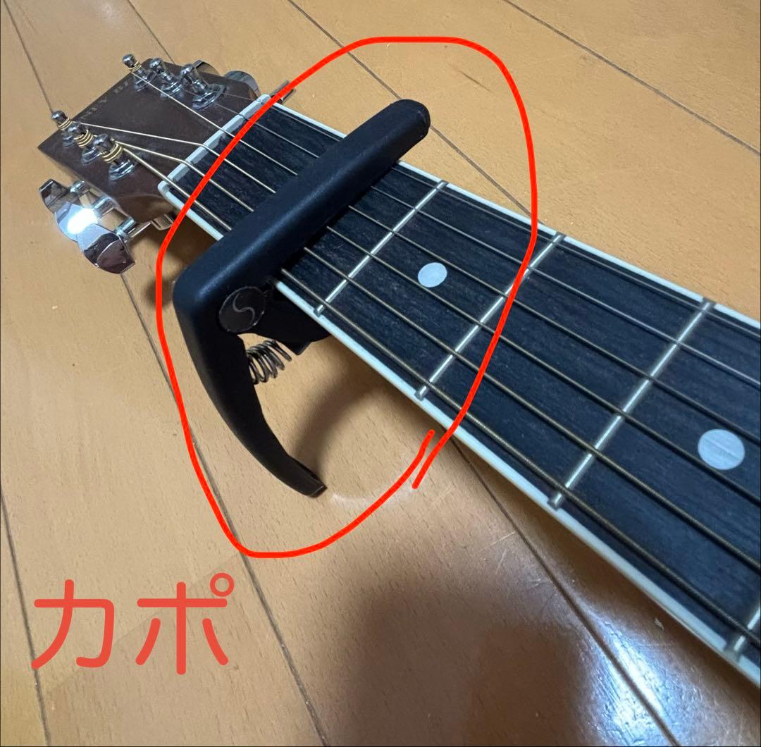 HONEY BEE アコースティックギター F-15 FM/N