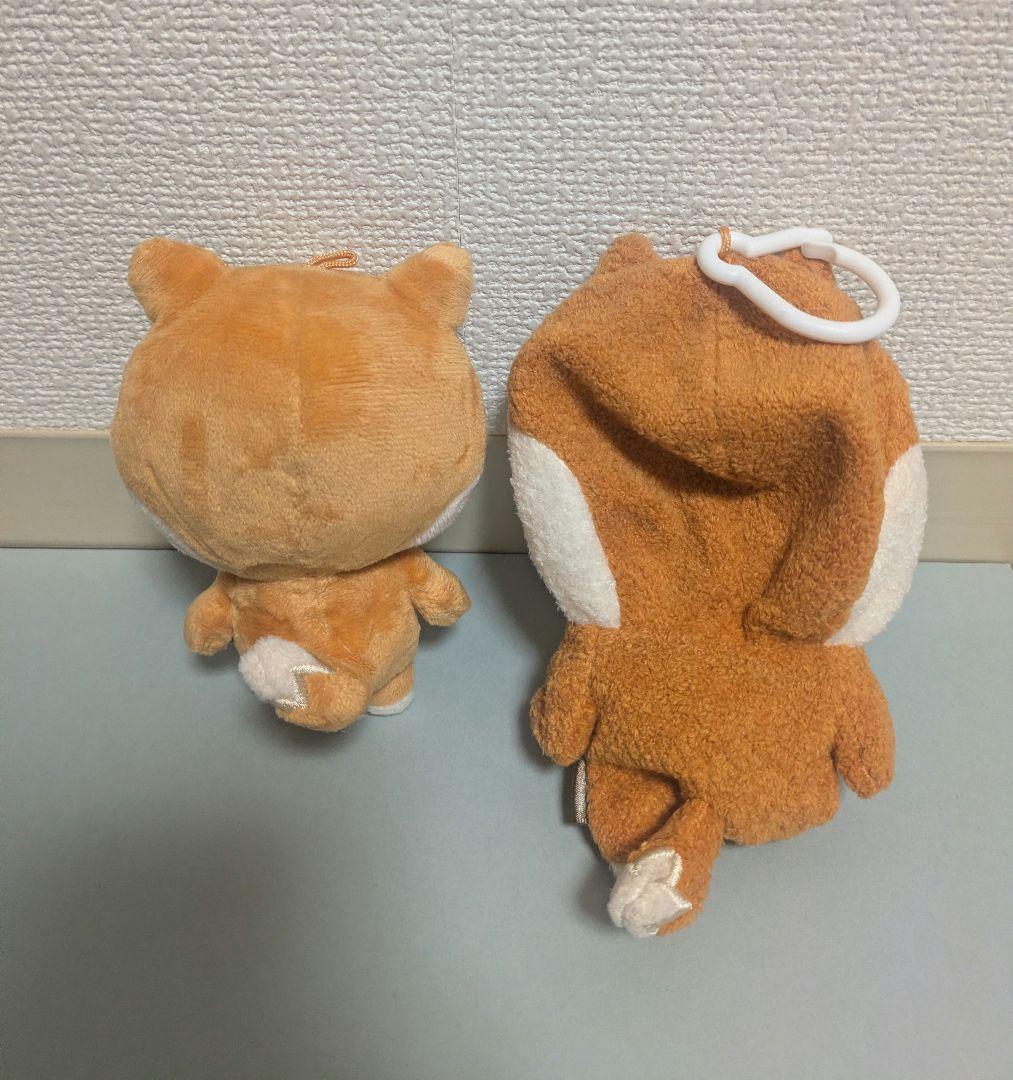DAY6 ヨンケイ ぬいぐるみ