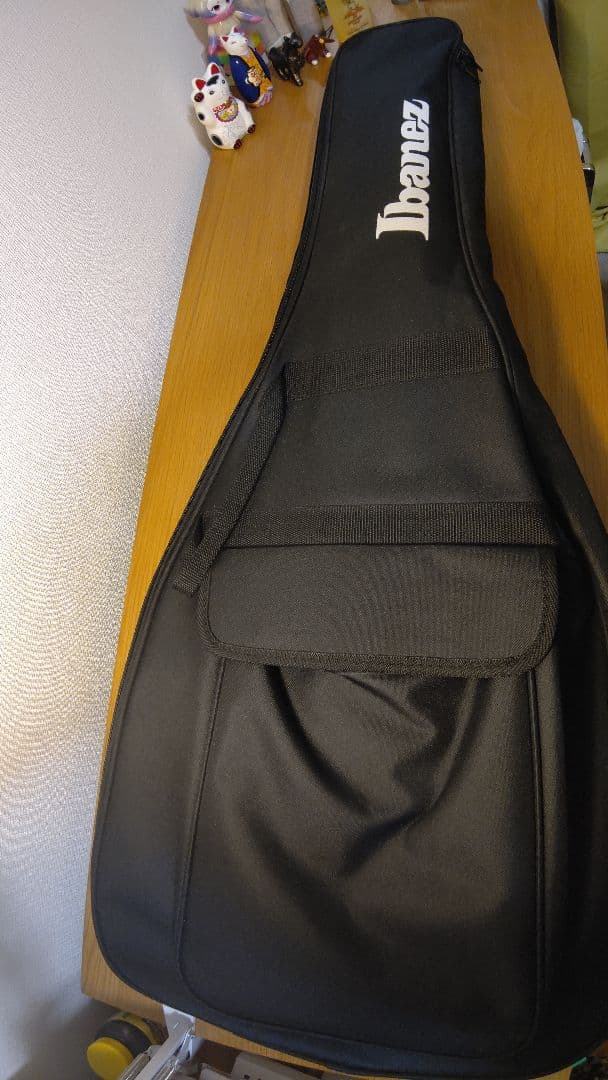 Ibanez 9弦ギター「RG9PB-TGF」