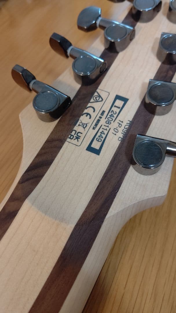 Ibanez 9弦ギター「RG9PB-TGF」