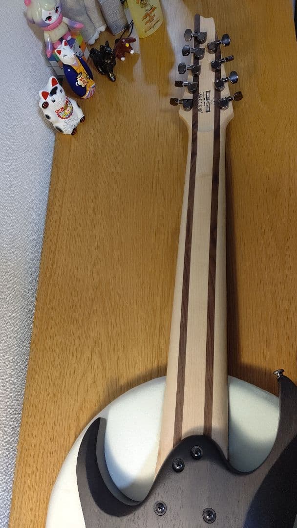 Ibanez 9弦ギター「RG9PB-TGF」