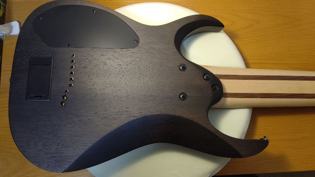 Ibanez 9弦ギター「RG9PB-TGF」