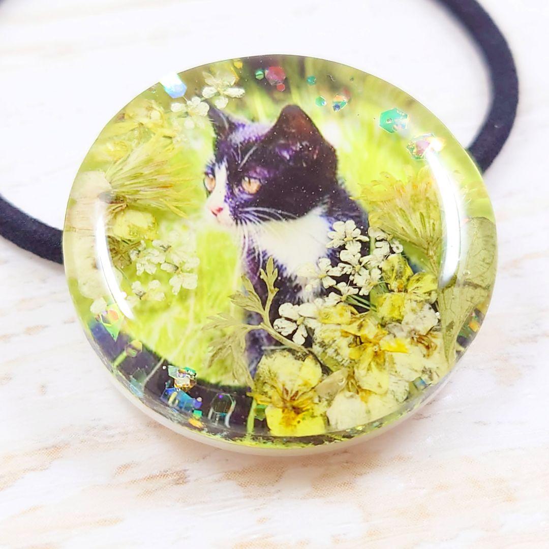 草原の猫ちゃんヘアゴム ハンドメイド レジン 押し花 ネックレス ブローチ 丸