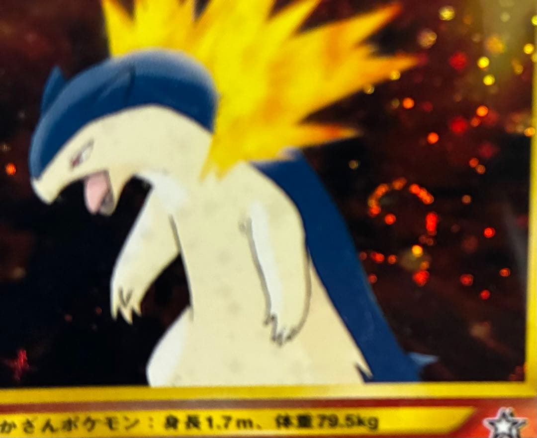 旧裏　まとめ売り　キャンセル分　わるいリザードン