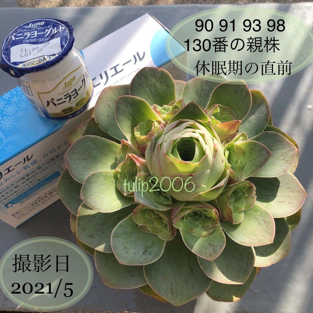 確認専用　98番