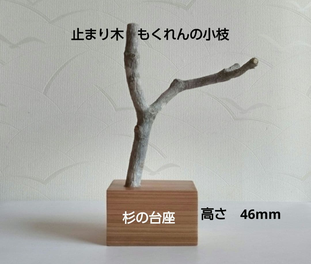 コガラ