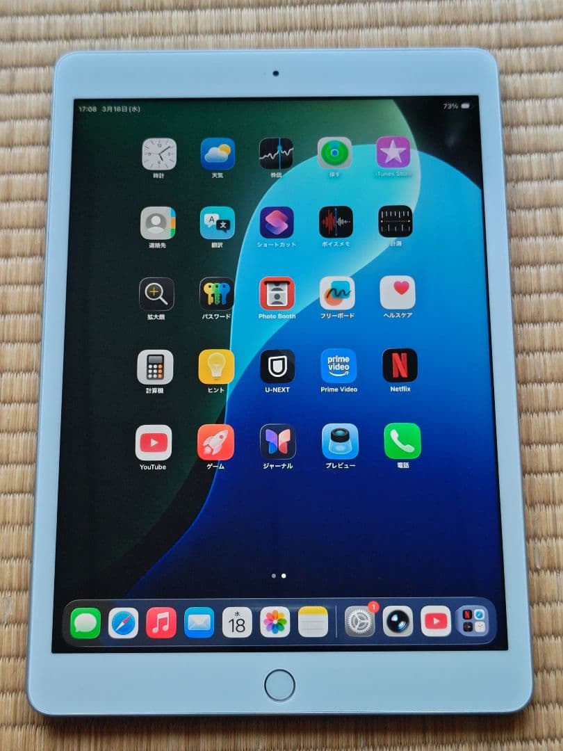 Apple iPad (第8世代) シルバージャンク