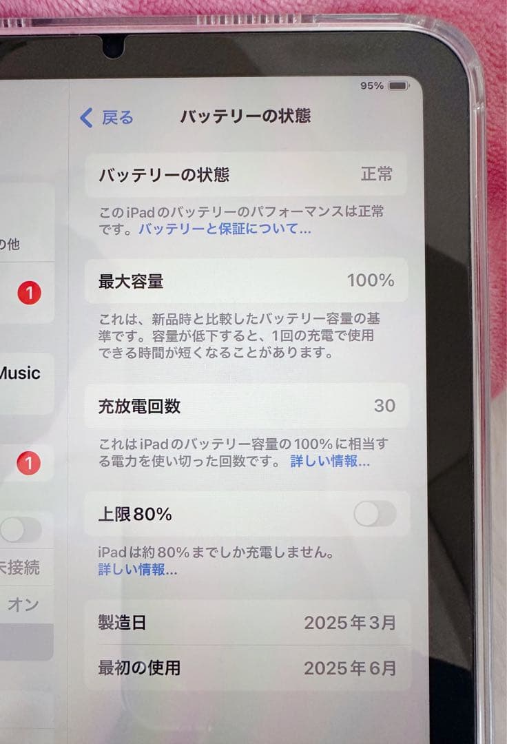 iPad本体 Apple iPad mini