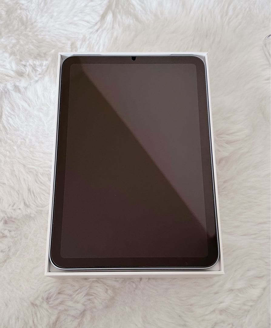 iPad本体 Apple iPad mini