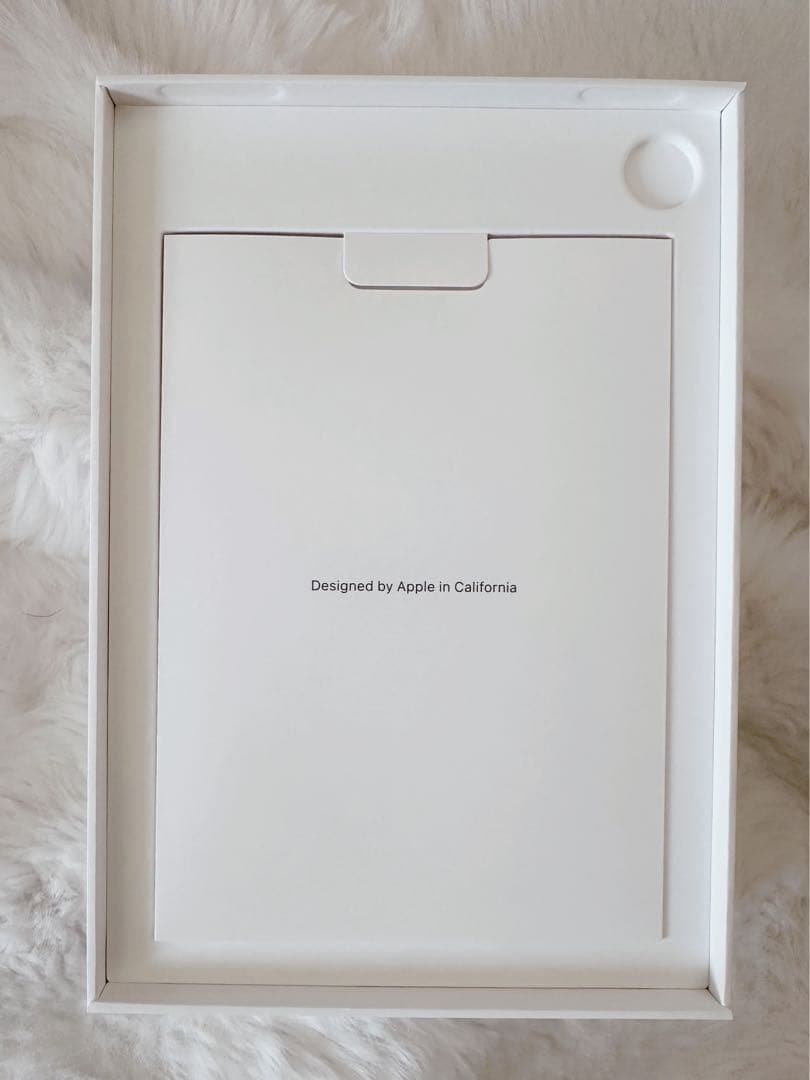 iPad本体 Apple iPad mini