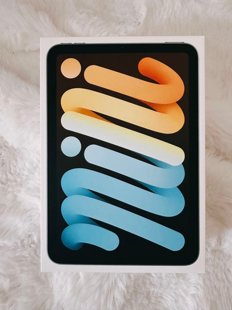 iPad本体 Apple iPad mini