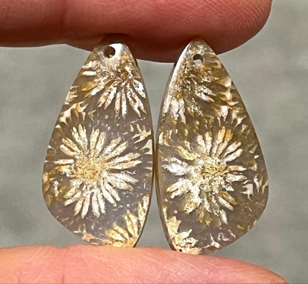 14kgf 大輪のお花フォッシルコーラル ピアスとペンダントトップセット