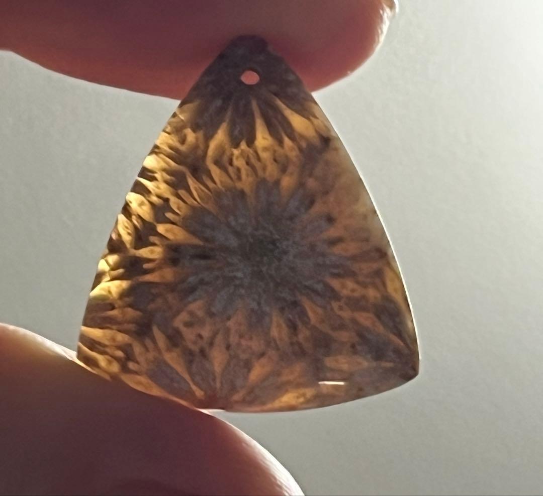 14kgf 大輪のお花フォッシルコーラル ピアスとペンダントトップセット