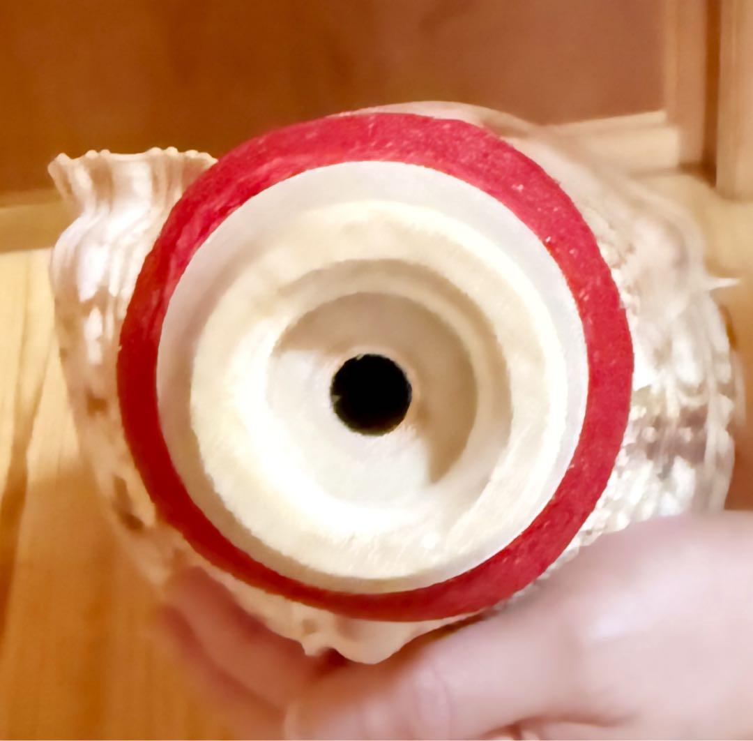 特大修験道法螺貝42㎝　山伏　密教　魔除け　熊よけ❣️ホラガイ　ほら貝