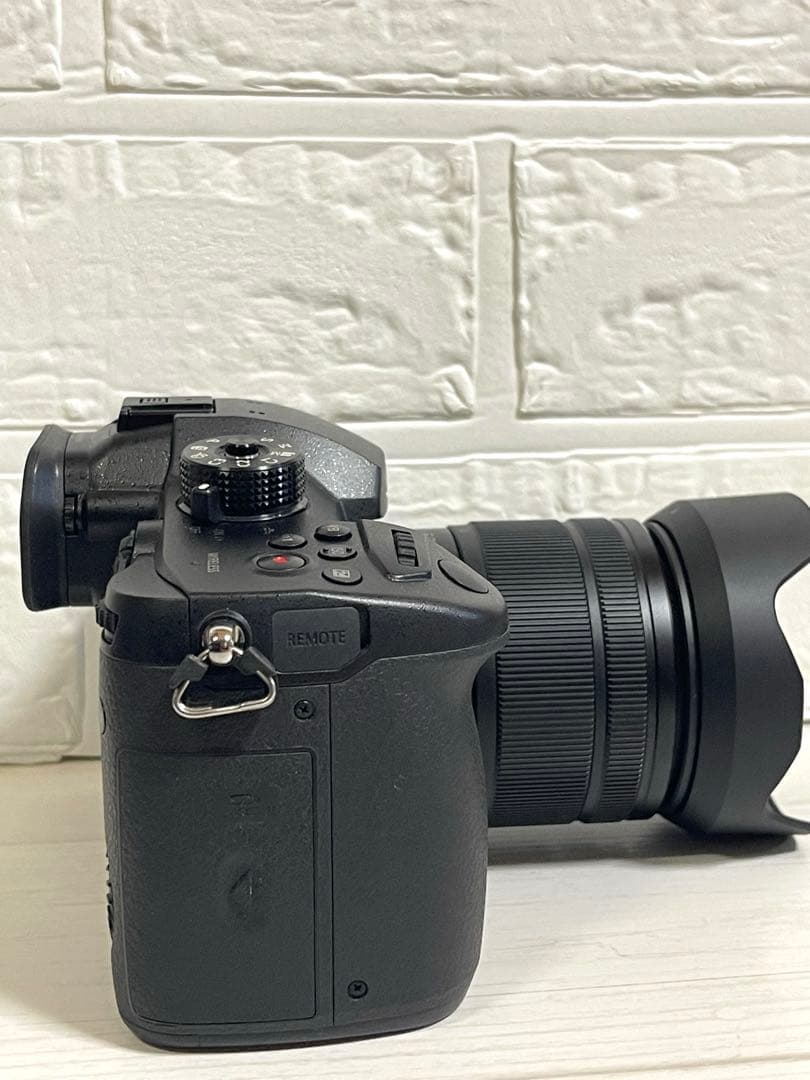 Panasonic LUMIX DC-GH5 レンズセット