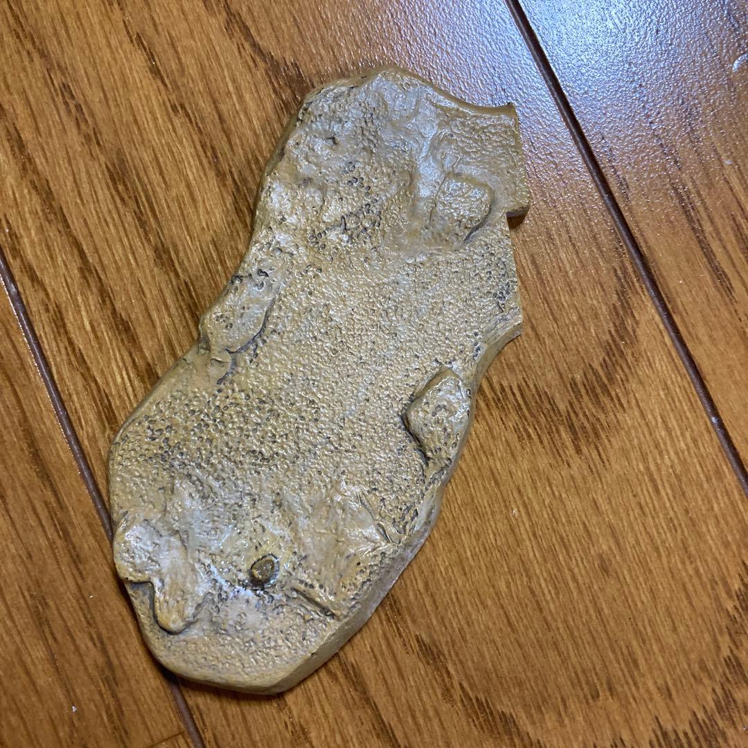 福井県立恐竜博物館　ビスタヒエヴェルソルVSペンタケラトプス