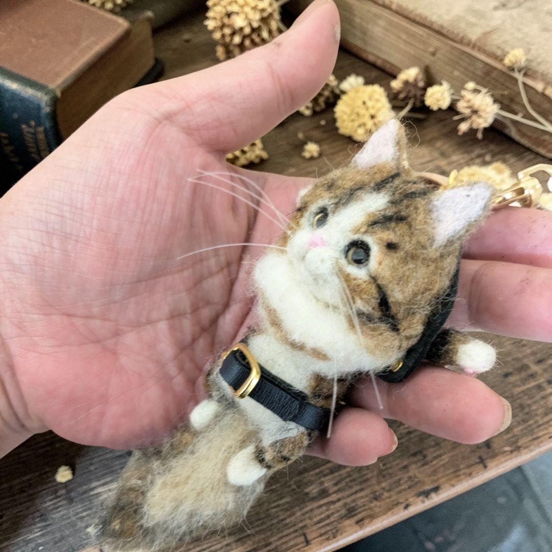 豆猫HOLDCATキーホルダー No.21ノルウェージャン〜特製豆猫トレカ付き