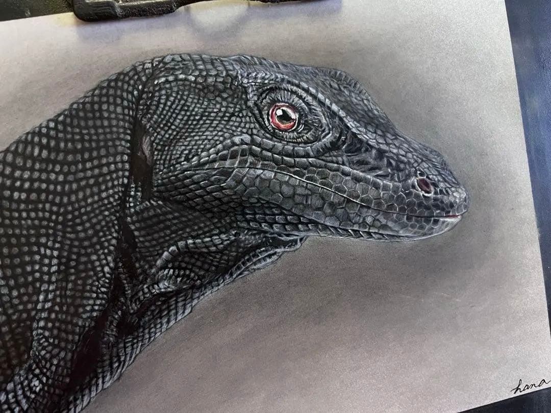 サルバトールモニター（メラニスティック）　色鉛筆画