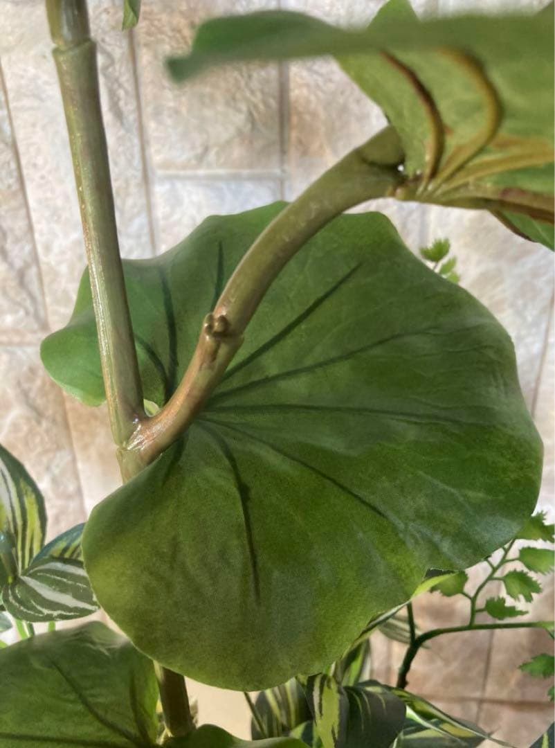 光触媒　人工観葉植物　ウォールグリーン　フェイクグリーン　シーグレープトラカンg