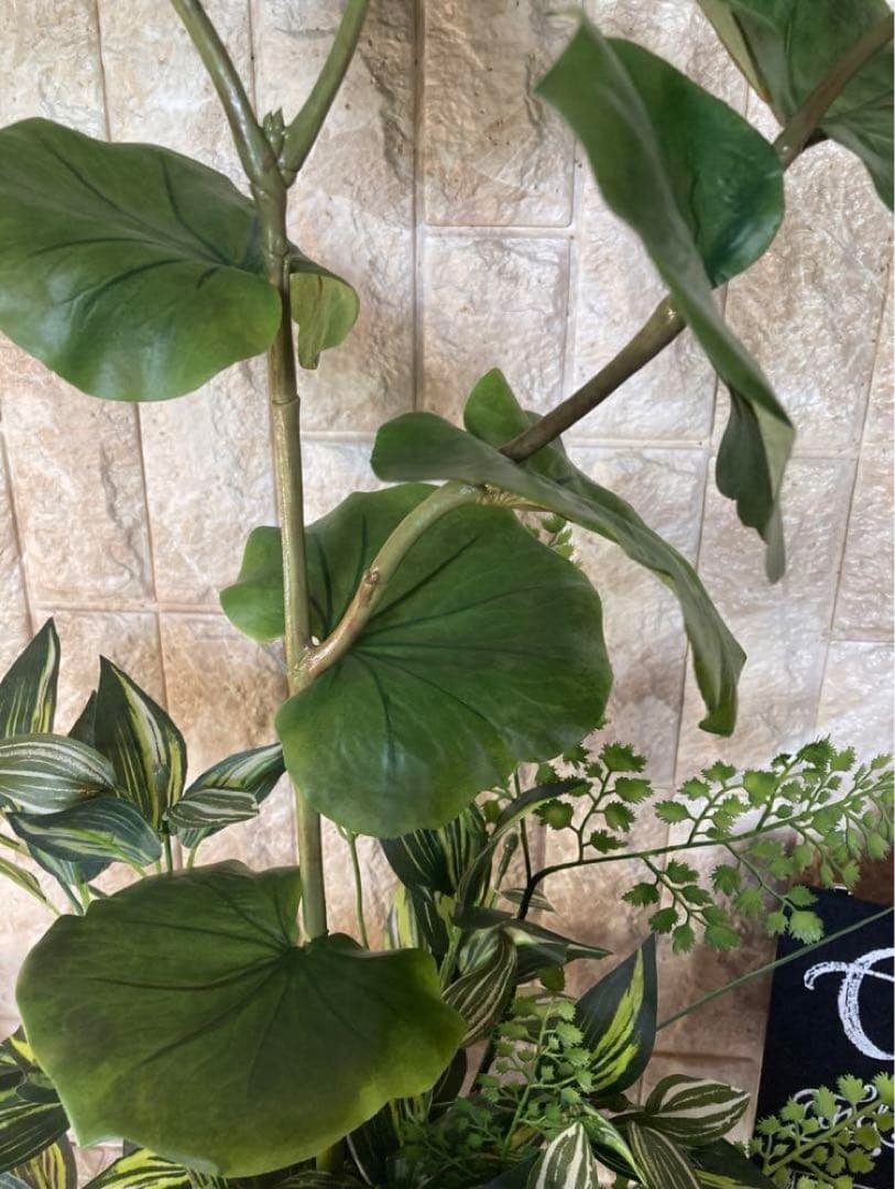 光触媒　人工観葉植物　ウォールグリーン　フェイクグリーン　シーグレープトラカンg