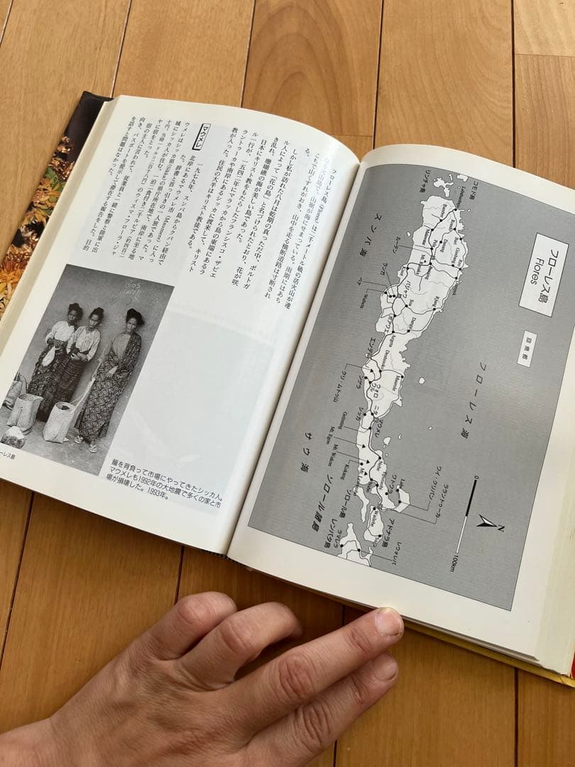 染色列島インドネシア　渡辺万知子