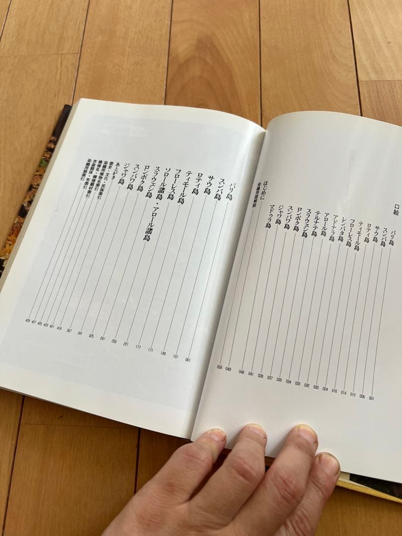 染色列島インドネシア　渡辺万知子