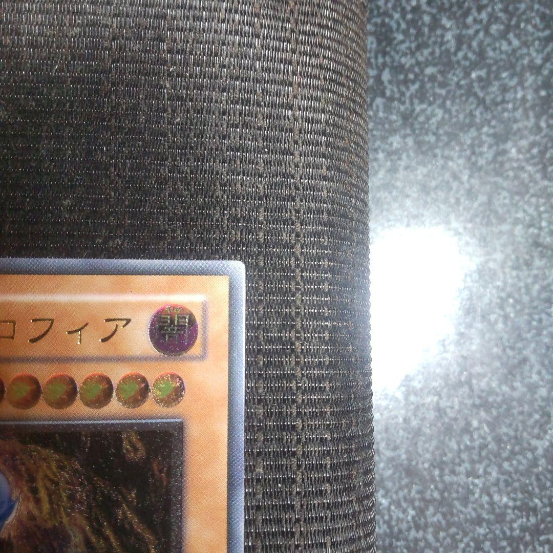 遊戯王　ダークネクロフィア　レリーフ