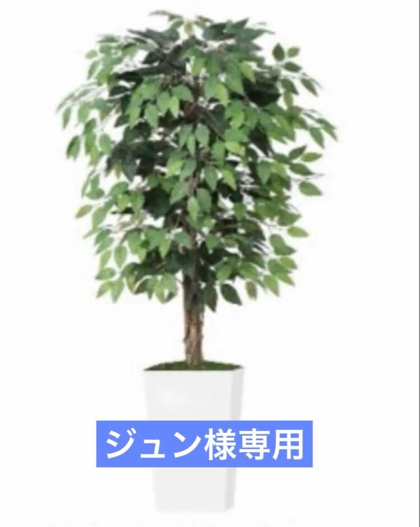 人工ガジュマルの木 室内用 フェイクグリーン 観葉植物 インテリア