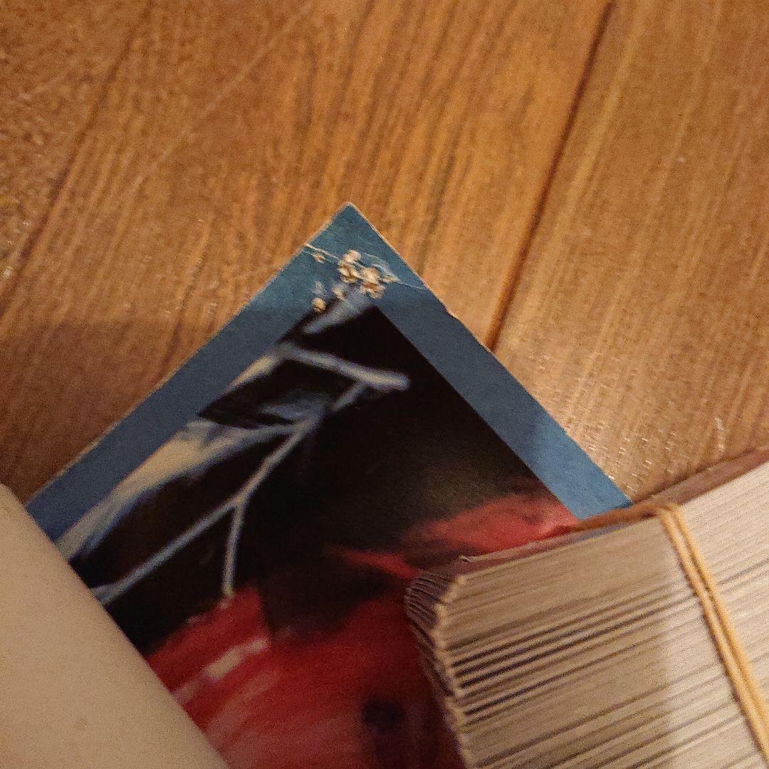 LUNA SEA「EDEN」店頭告知用ポスター 【貴重】