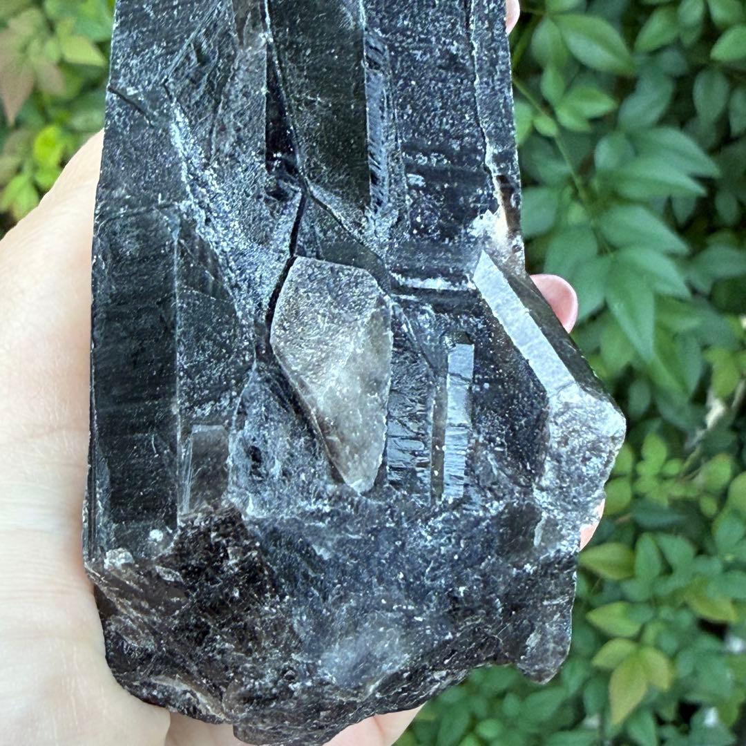 ムーミン 値下げ モリオン 黒水晶 天然無処理 原石 MY977