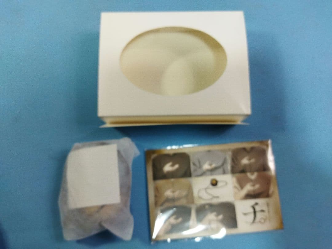 地球の運動 meruki