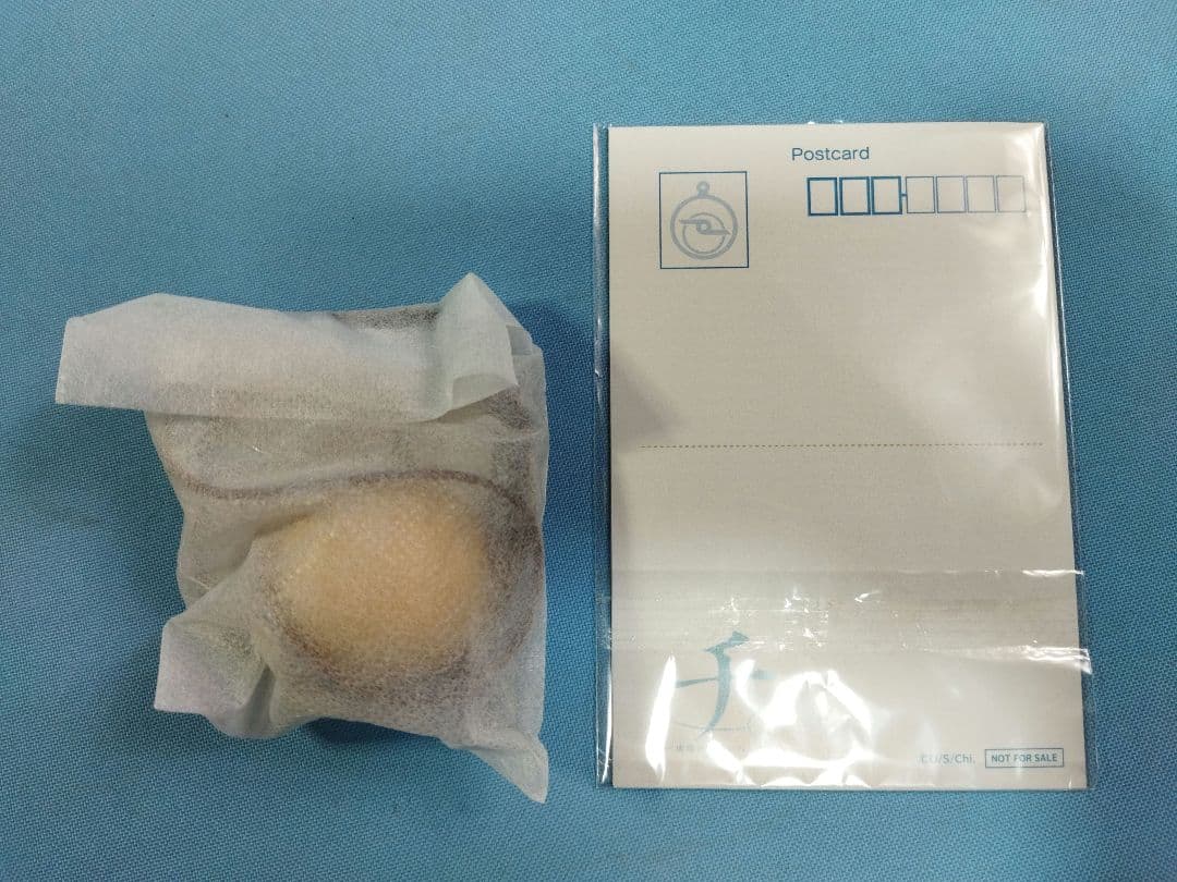 地球の運動 meruki