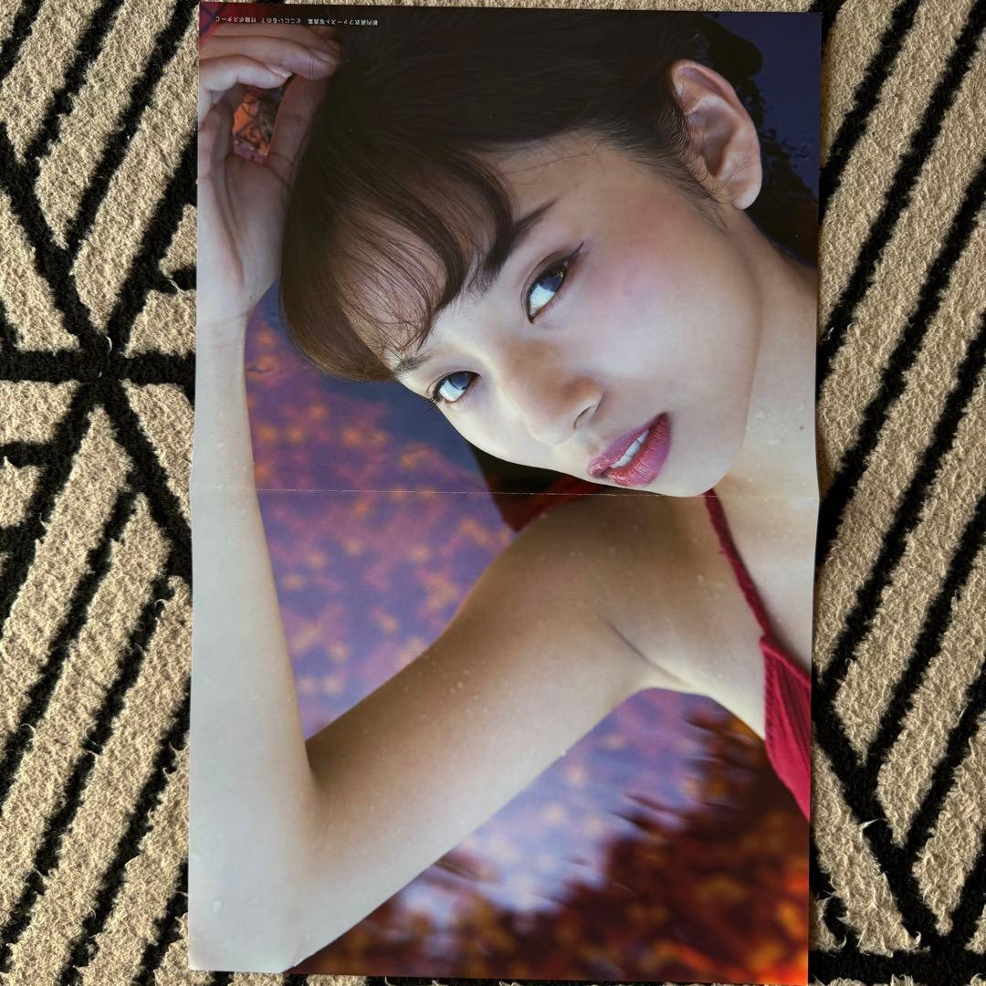 乃木坂46 付録ポスター ファイル まとめ売り