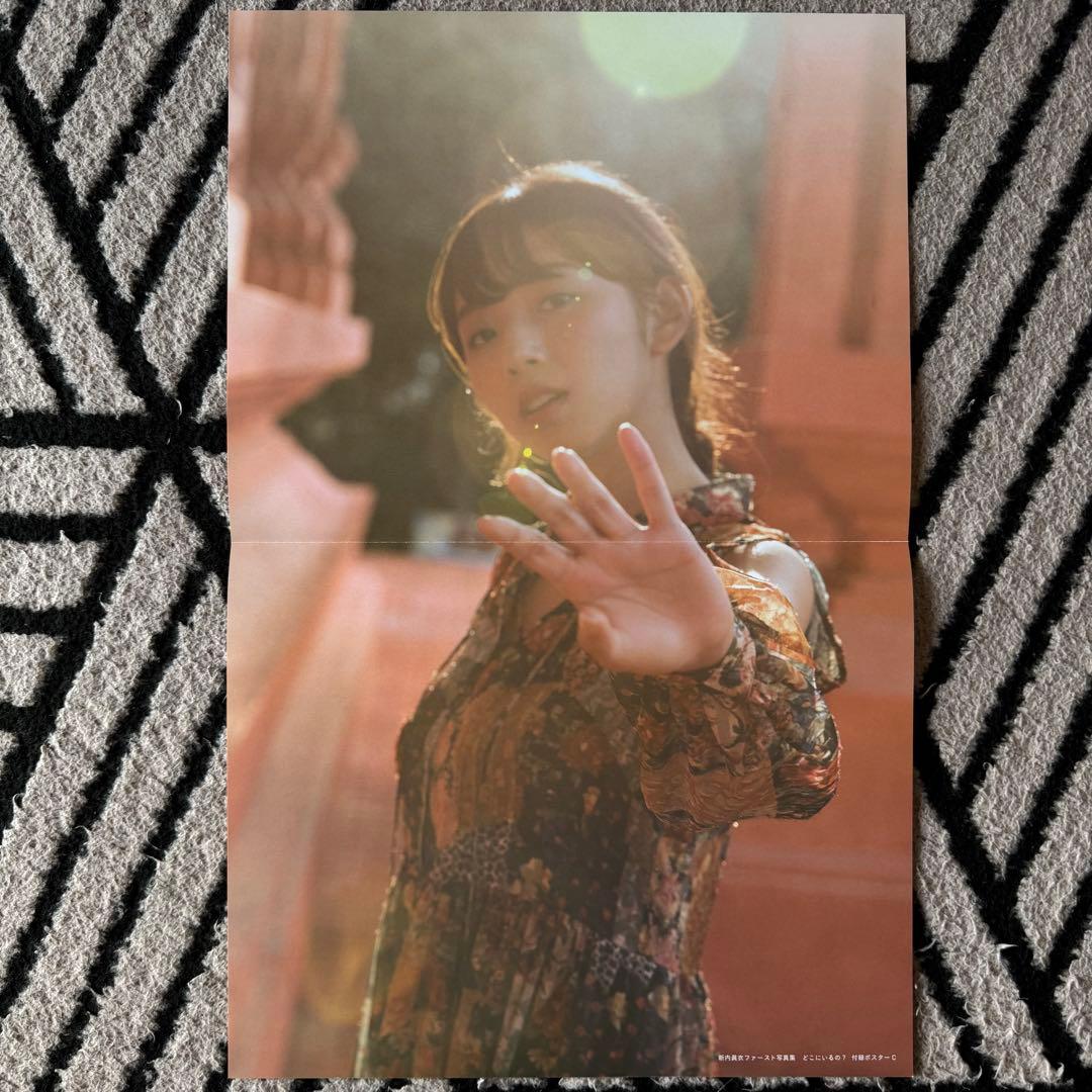 乃木坂46 付録ポスター ファイル まとめ売り